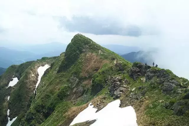 谷川岳: 夏の残雪と高山植物が織りなす絶景稜線ハイキング