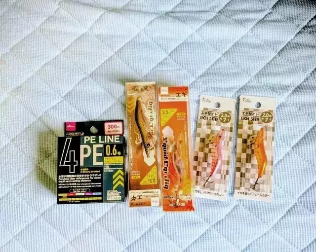 100円ショップの釣り具で楽しむマメイカ釣り：低価格での挑戦と成功