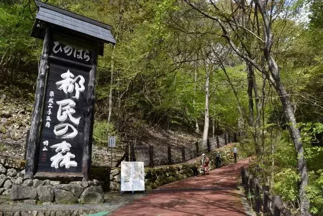 東京都檜原「都民の森」における熊との遭遇事故と登山道閉鎖