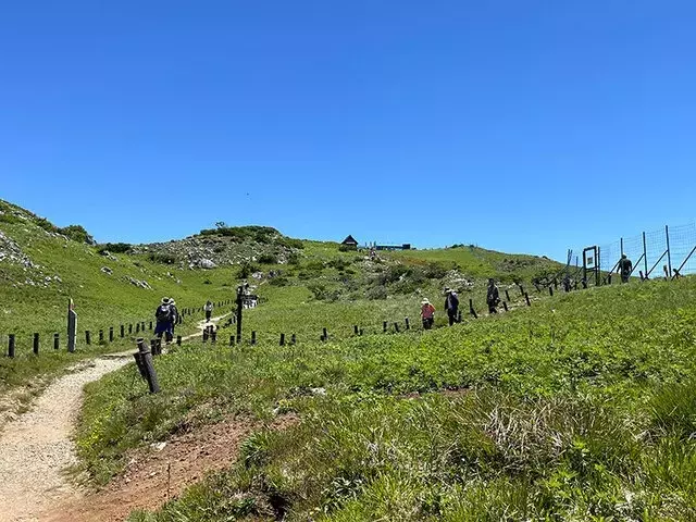 伊吹山登山で見つける絶景と山の恵み：花々とオムライス