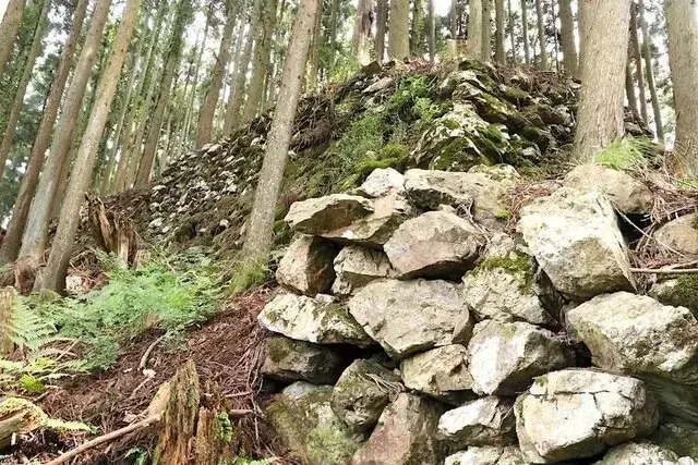 明智光秀が築いた山城「周山城」の謎に迫る：土と石が織りなす防御の妙技