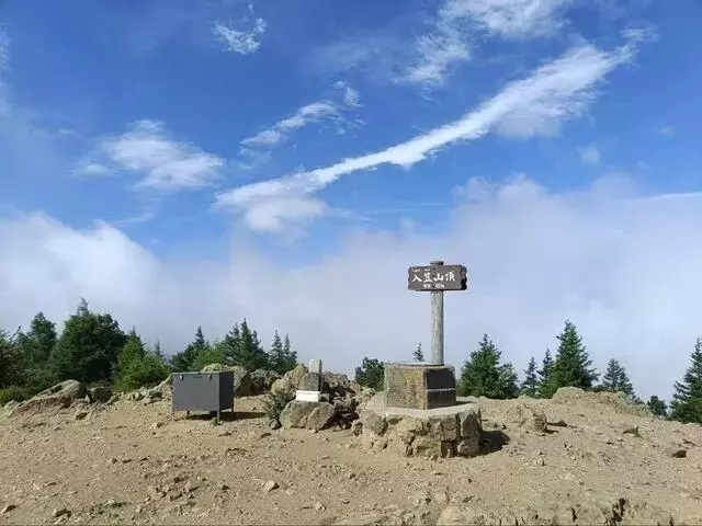 入笠山で夏の高原ハイキング、花々と360度の大展望を満喫