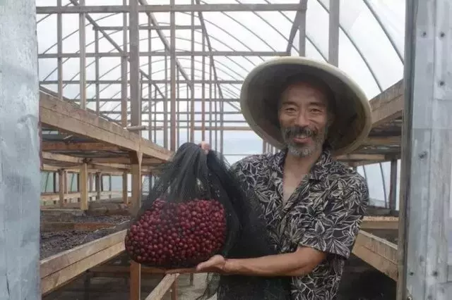 バリ島体験が導くエコツアーの未来：龍神村の挑戦
