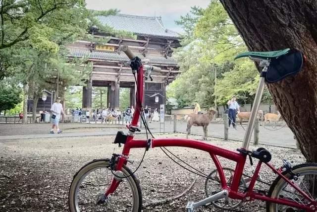 古都奈良、世界遺産の地を自転車で巡る旅