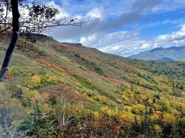 大雪山登山道の持続可能性を追求：自然と共生する未来への取り組み