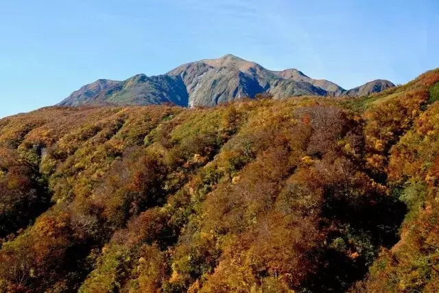 越後駒ヶ岳、紅葉の魅力を探る登山レポート：枝折峠から山頂への道のり