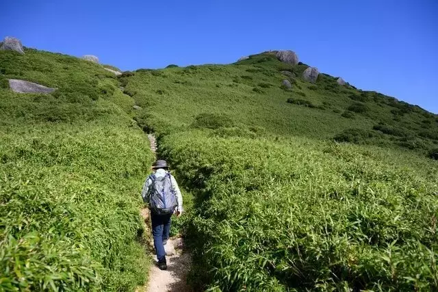 屋久島宮之浦岳：洋上のアルプスを巡る壮大な登山体験