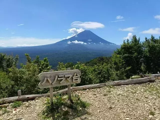 富士山を望む絶景！パノラマ台登山ガイドと体験談