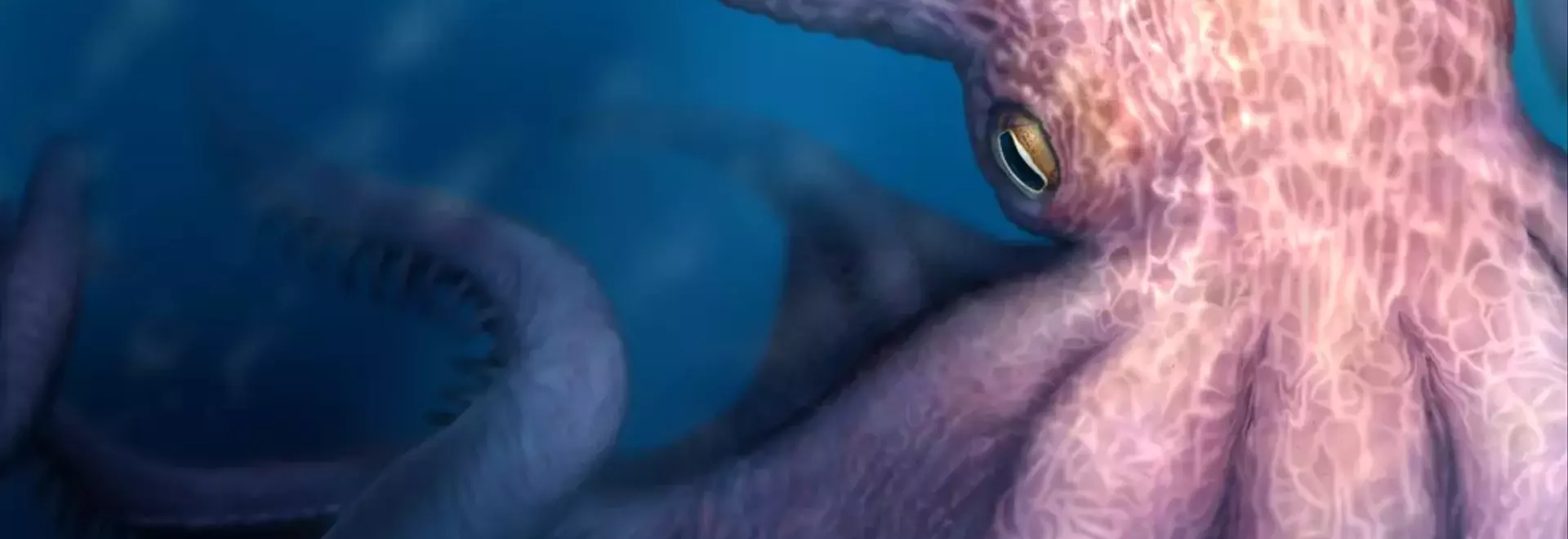 Giant Octopuses Roamed Cretaceous Seas