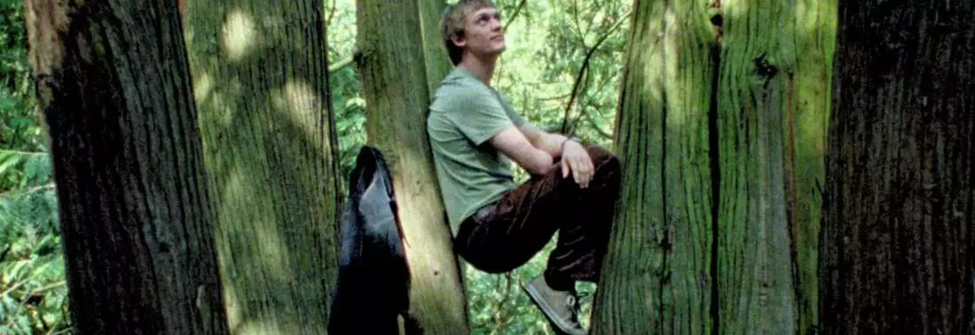 A Cinematic Journey into the Sentient World of Plants: Review of 'Silent Friend'
