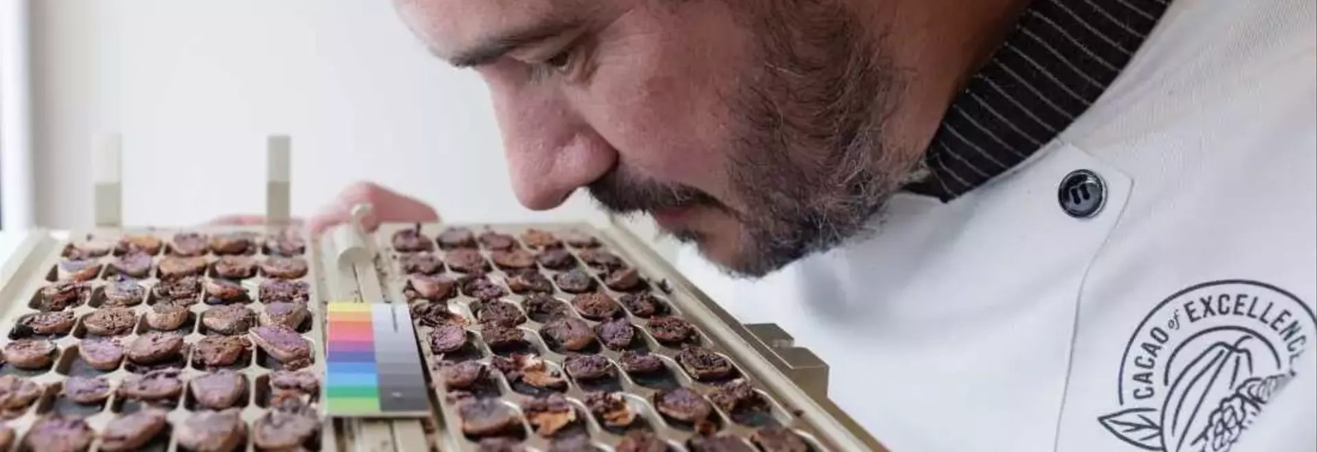 The Science of Chocolate: Inside the Cacao of Excellence Laboratory