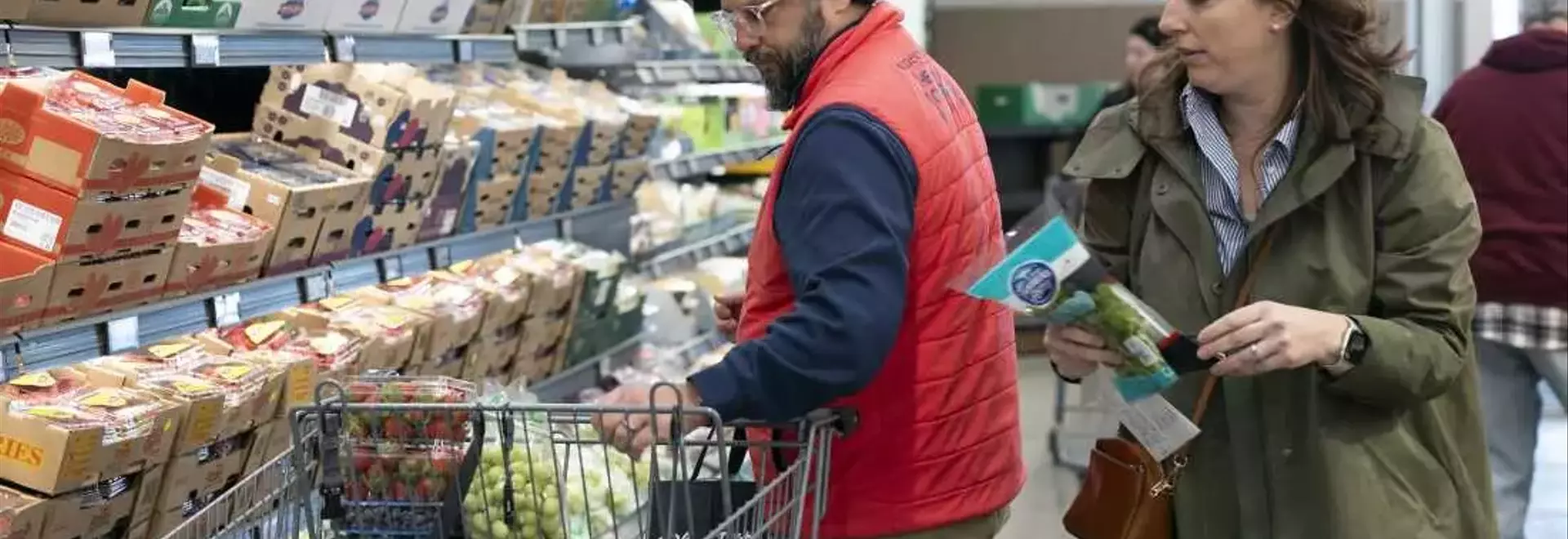 Economically-Minded Consumers Fueling the Rise of Discount Grocery Stores