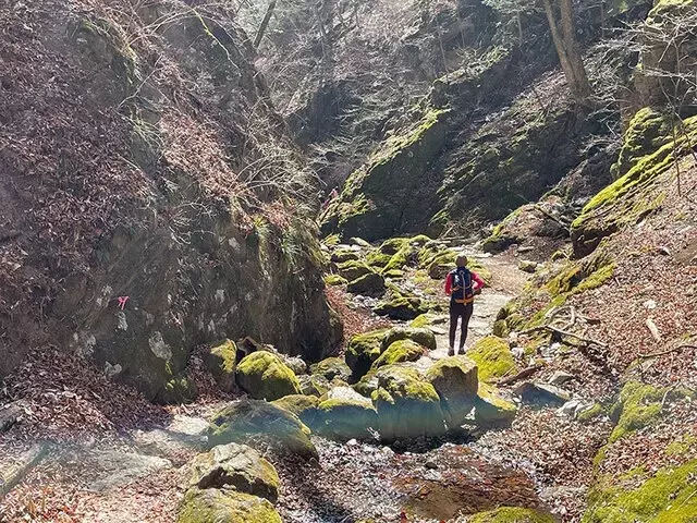 早春の御岳山ロックガーデンと鹿肉カレーの魅力