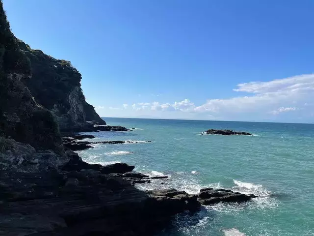 房総半島大房岬の自然探訪と絶品海鮮丼