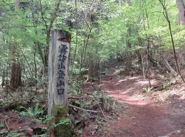 信州の隠れた名峰、霧訪山で巡る絶景と花のトレッキング