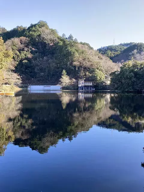 奥武蔵・鎌北湖周辺の魅力的なハイキングコースを巡る