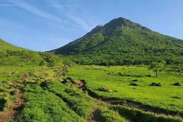 新緑の由布岳登山ガイド：豊後富士の魅力を満喫する