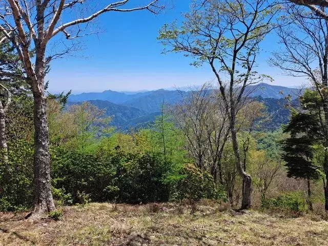 奥多摩、クマ出没により登山道閉鎖：ハイカーに厳重な警戒呼びかけ