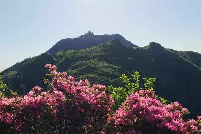 雲仙普賢岳を巡る山歩き：深山霧島と溶岩ドームが織りなす絶景体験