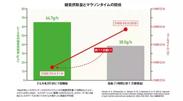 マラソンパフォーマンス向上に不可欠なエネルギー補給戦略