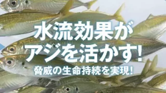 アジングに革命！釣果を維持しつつアジを元気なままリリースできる究極のアイテム「アジカンサイクロン」が登場