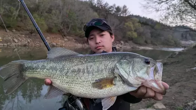 琵琶湖の達人が挑む巨大バス釣り：三川ダムでの50アップ捕獲劇