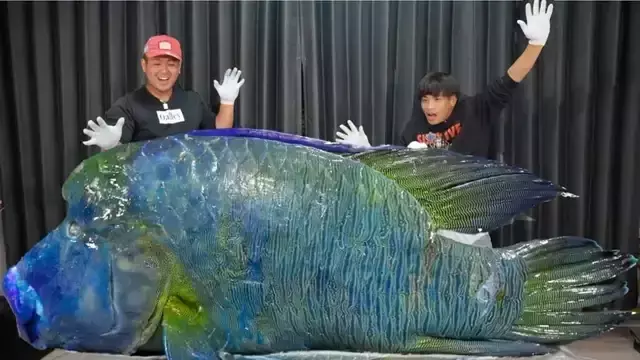 巨大なメガネモチノウオの解体ショー！宮古島からの驚きの贈り物