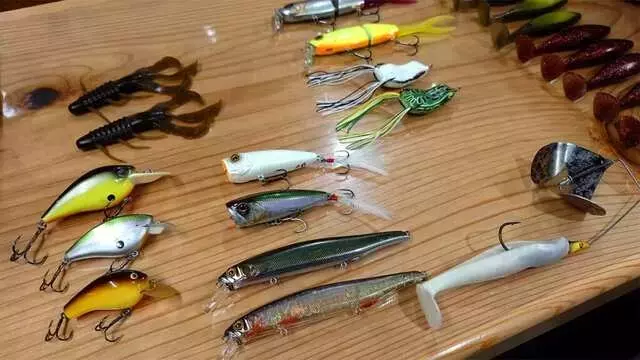10FTUハードベイト戦略：大江川と五三川での釣果向上テクニック