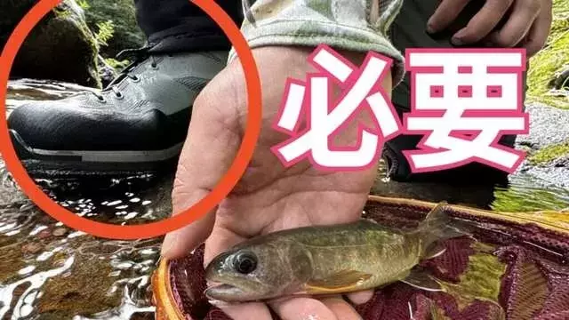 渓流フライフィッシングの必需品：安全と快適を両立する装備選び
