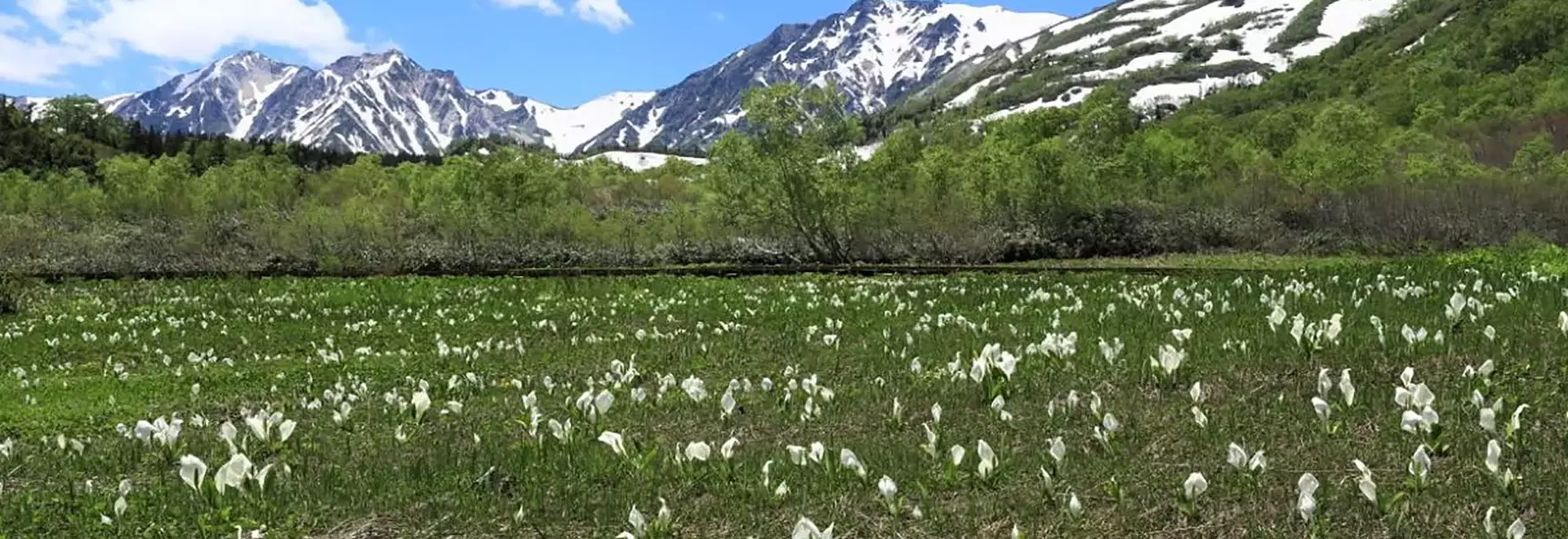 栂池マウンテンリゾート、雪のない季節の新たな魅力を発見