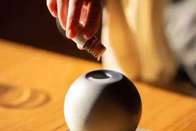 時間と色彩が織りなす「TIME VASE」：パイロットと有田焼の革新的融合
