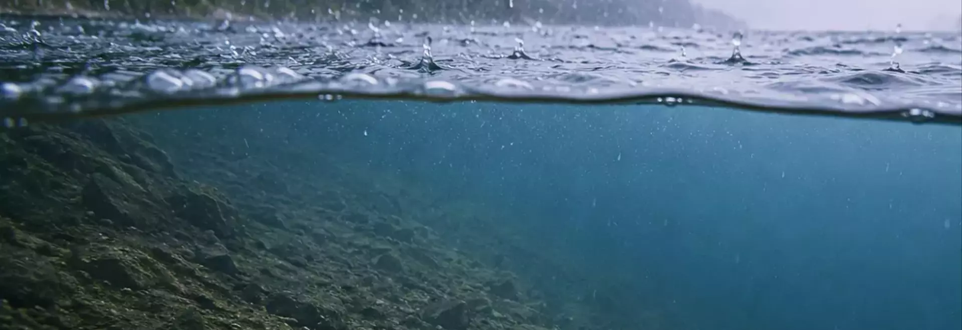雨がバス釣りに与える影響：釣果を左右する「良い雨」と「悪い雨」の見極め方