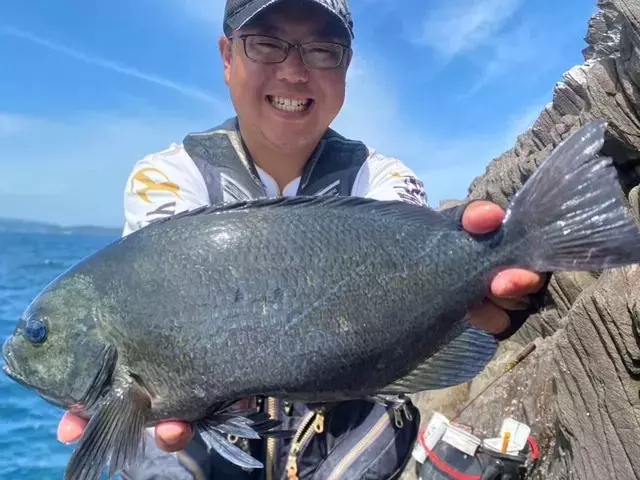 初夏の伊豆沖磯でメジナ爆釣！良型連発のフカセ釣り