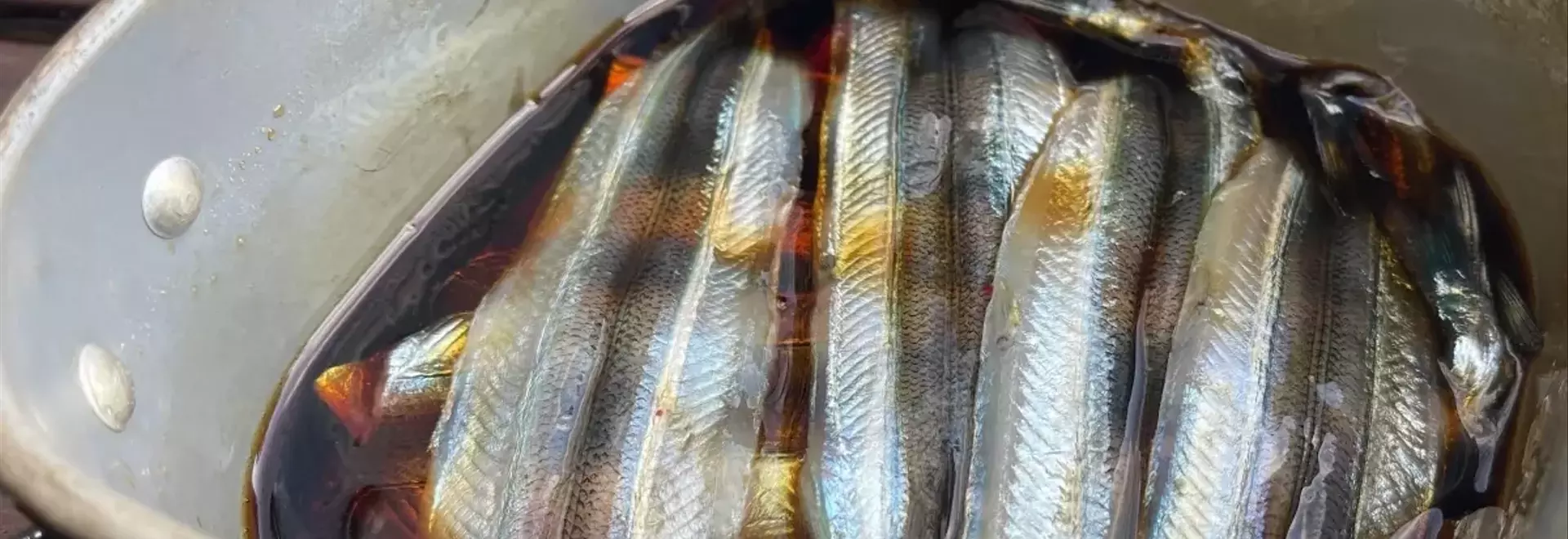 サヨリを味わい尽くす！釣り人のための絶品料理レシピ集