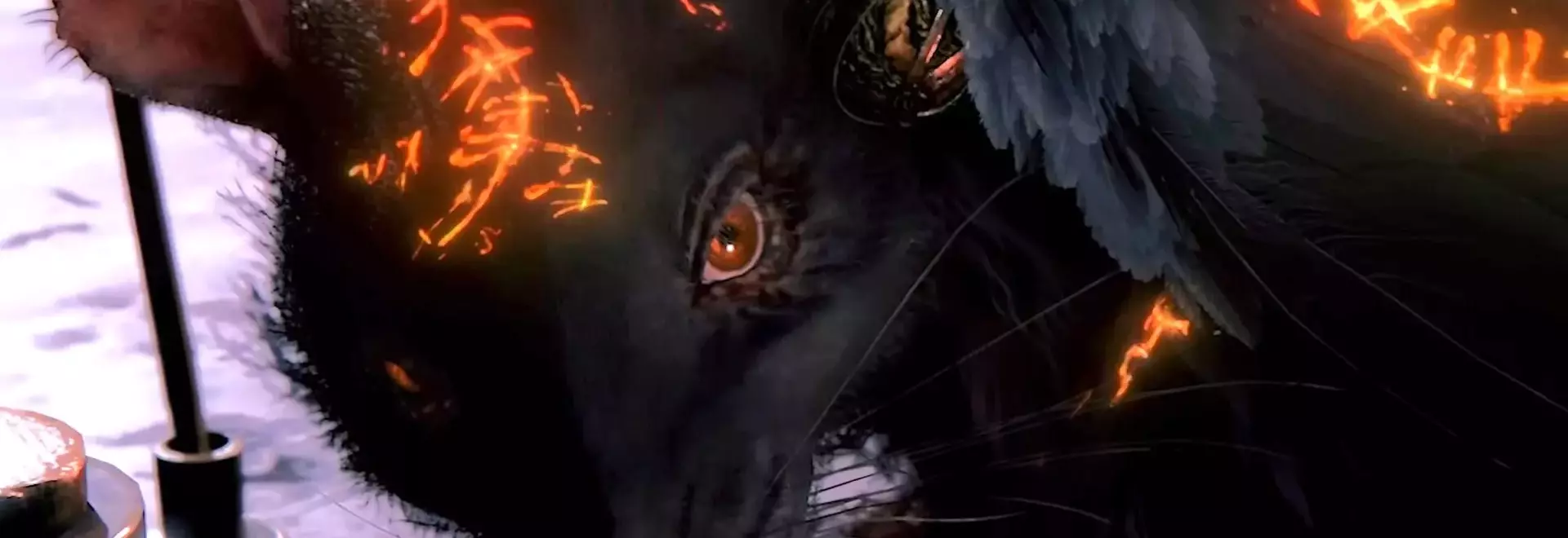 FromSoftware Unveils 'Duskbloods' for Nintendo Switch 2, Elden Ring DLC Update