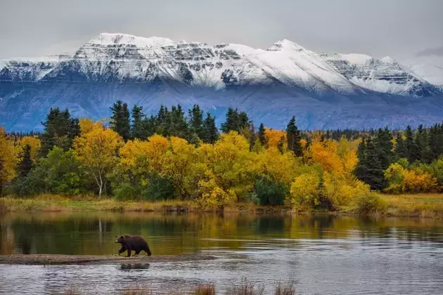 First National Bank Alaska: A Prudent Hold Amidst Emerging Risks