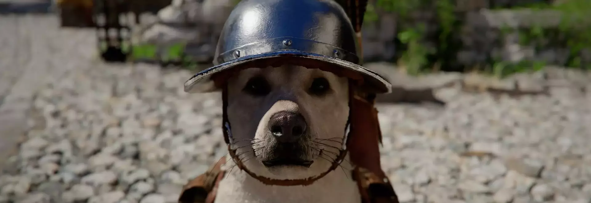 Crimson Desert's Latest Update Expands Pet Collection and Tool Access