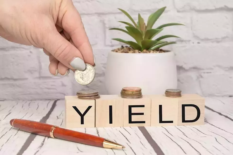 Beyond the Hype: Discovering Value in Overlooked Dividend Stocks