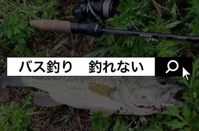 バス釣り初心者が陥りがちな落とし穴と、釣果を上げるための秘訣