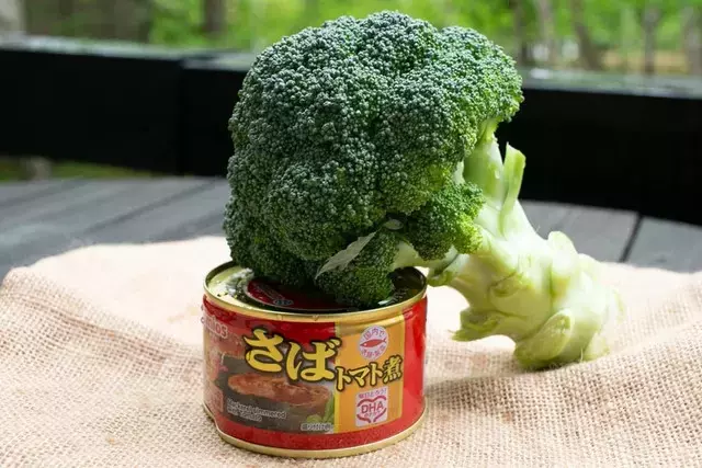 ブロッコリーとサバ缶で栄養完璧！健康効果と効率的な摂取法