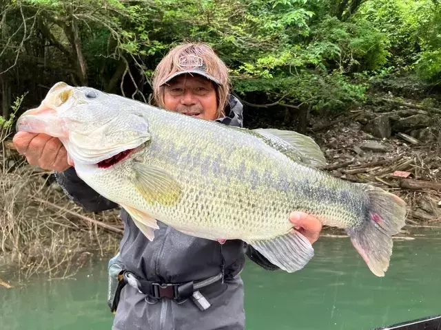 伝説のバスアングラー、奥矢作湖で"ロクマル"を釣り上げる