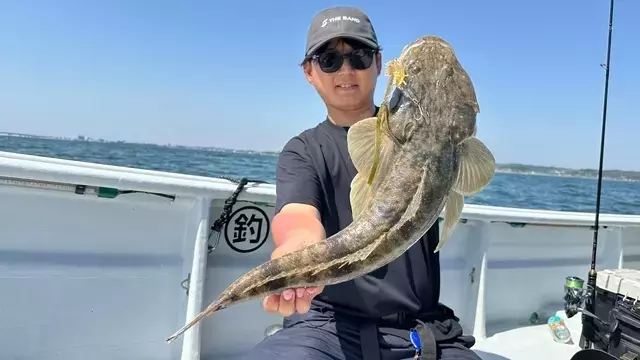 驚異のマゴチハンター伊勢隼人：年間447匹の釣果と巨大コチへの挑戦