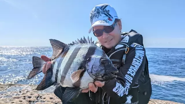 石鯛釣り名人、高知柏島で大物狙いの挑戦記