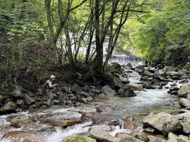 ルアーの音の秘密：魚が反応する周波数とは？