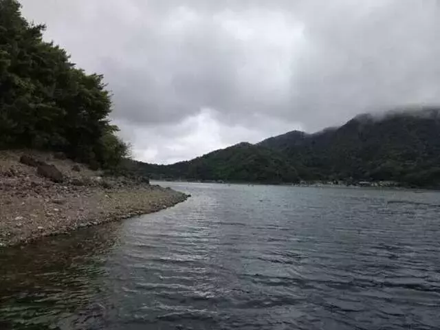 西湖での表層I字釣法：爆風を味方につける初夏のバス釣り戦略