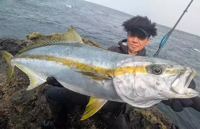 五島列島でのヒラマサ釣り挑戦：水草幹博氏の戦略と実績