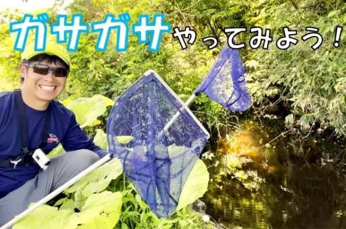 初心者向け！タモ網で水辺の生物を捕獲する「ガサガサ」ガイド
