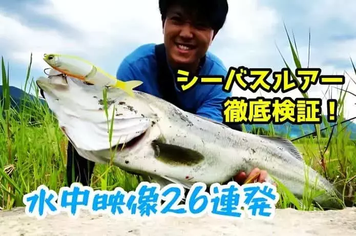 シーバスルアー徹底比較：水中映像と飛距離で選ぶベスト26選