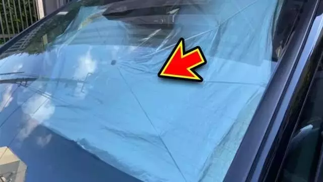 酷暑の釣り対策：車内温度上昇から釣具を守る！