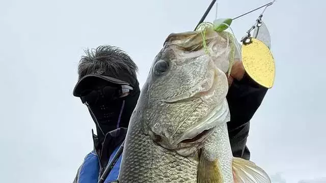 台風後の琵琶湖南湖：巻き物ルアーが炸裂！バス釣り攻略法
